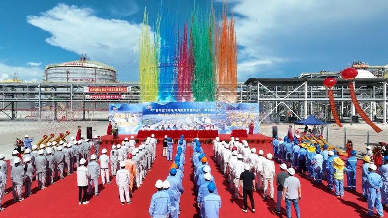 塑料原料价格行情：五大品牌深度对比解析**