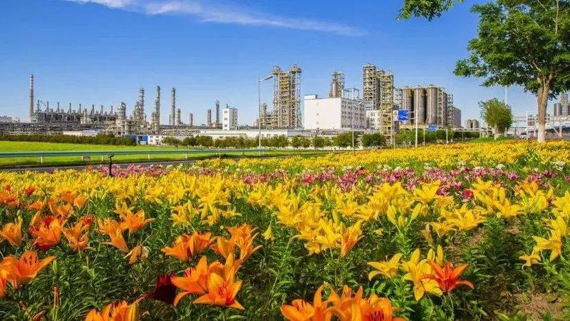 揭秘耐高温高分子材料：型号与参数解析
