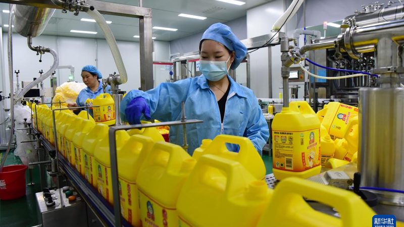 高分子防水材料：如何选择合适的产品**